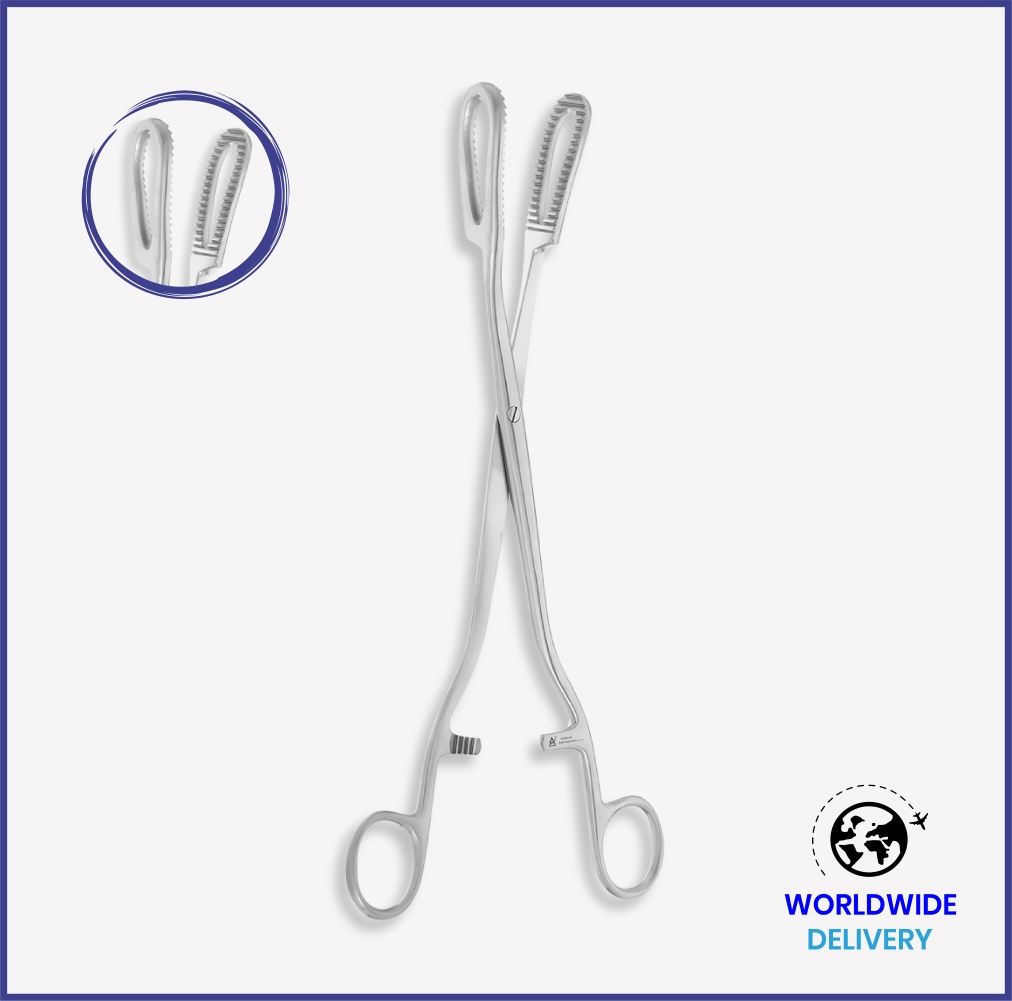 Bierer Forceps