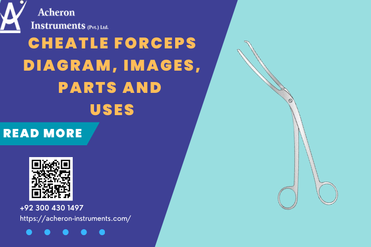 Cheatle Forceps Diagram, Images, Parts and Uses