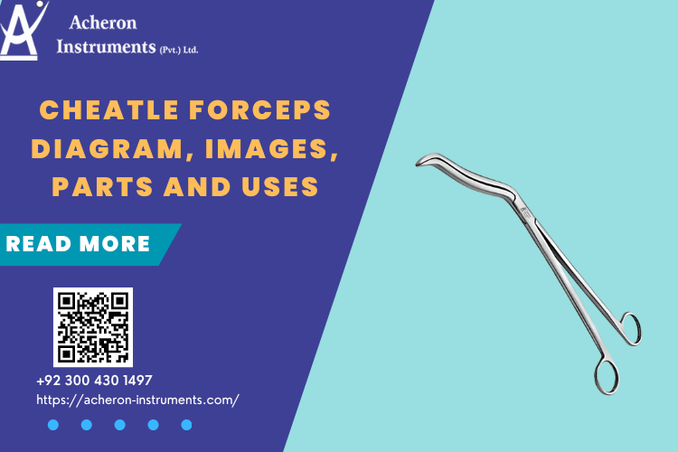 Cheatle Forceps Diagram, Images, Parts and Uses